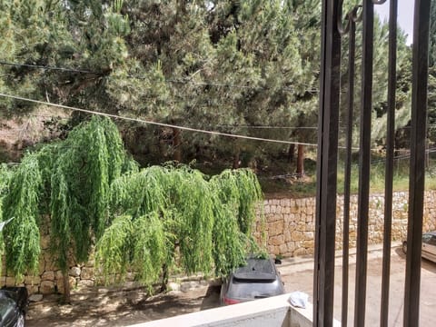 Traditional Apartment | Terrace/patio