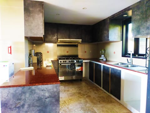 Panoramic Villa | Private kitchen | Fridge, microwave, stovetop, electric kettle
