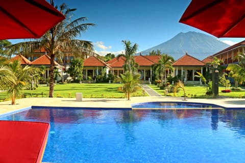 Outdoor pool, pool umbrellas, sun loungers