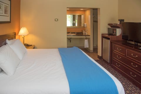 Signature Room, 1 King Bed, Non Smoking | Desk, laptop workspace, soundproofing, iron/ironing board