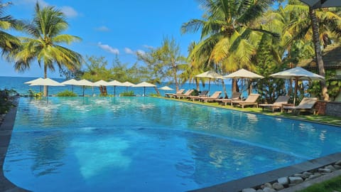 Outdoor pool, sun loungers