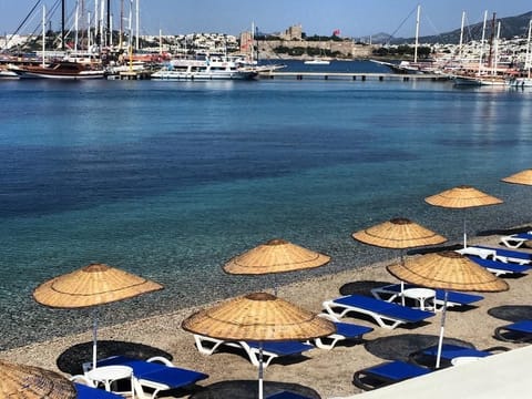 Private beach, sun loungers, beach umbrellas, beach towels