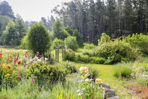 An idyllic country garden and heritage apple orchard greet you upon your arrival