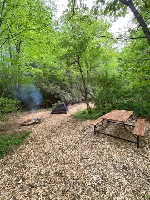 Lots of room by the creek