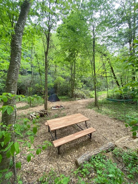 Picnic table, fire ring and room for 2-3 tents