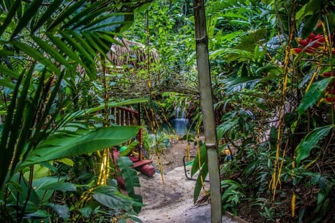 Ecotours
