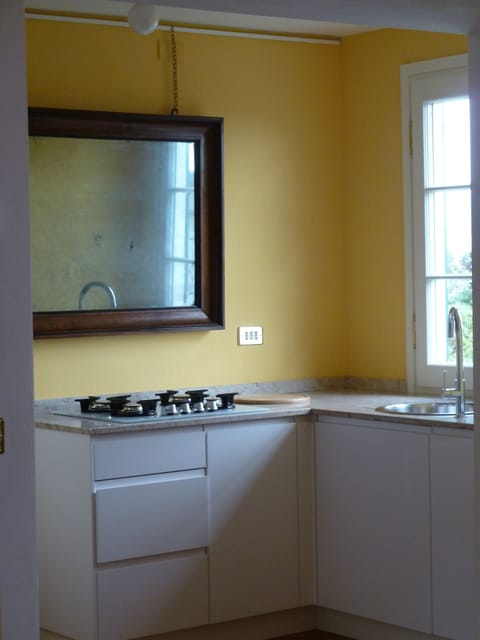 Panoramic Apartment, 1 Bedroom, Lake View, Annex Building | Private kitchen | Espresso maker, coffee/tea maker, electric kettle, highchair