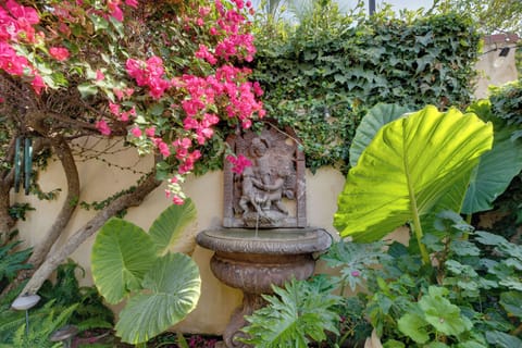 Apartment (0 Bedroom) | Interior