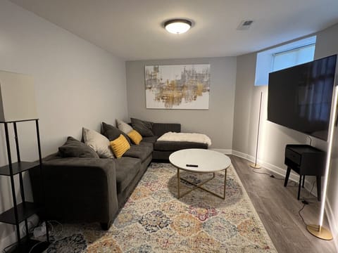 Living room with 65" Roku TV