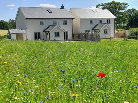 Beautiful wildflowers