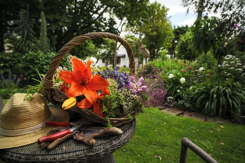 Beautifully landscaped organic cottage & coastal garden with all round interest.