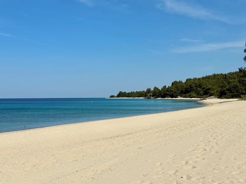 House, 4 Bedrooms, Balcony, Garden View | Beach