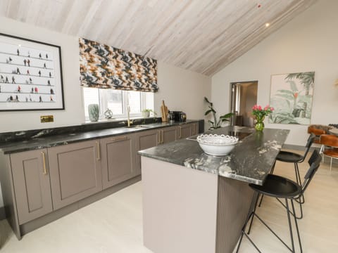 Fridge, dishwasher, electric kettle, toaster