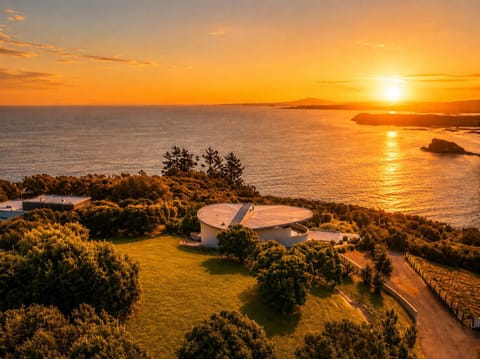Aerial shot of The Residence at Te Whau 