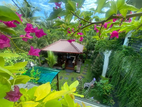 Garden view