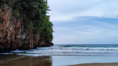Free beach shuttle