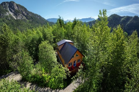 Akira Lodge surrounded by lush landscapes and mountain views. Revelstoke Mountain Resort can be seen in the background.