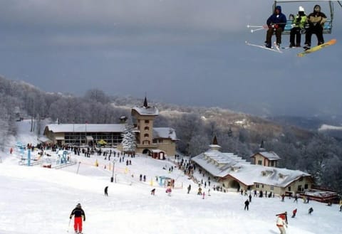 Snow and ski sports
