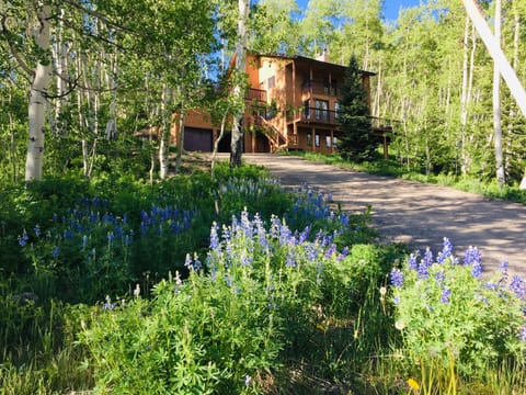 Mountain Modern Exterior