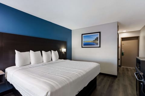 Standard Single Room, 1 King Bed, Non Smoking | Pillowtop beds, individually decorated, individually furnished, desk