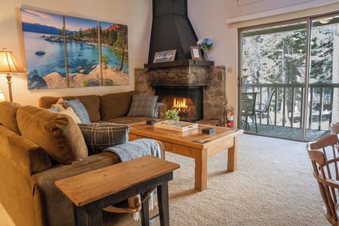 We recommend Duraflame logs, but you are welcome to burn wood as well.