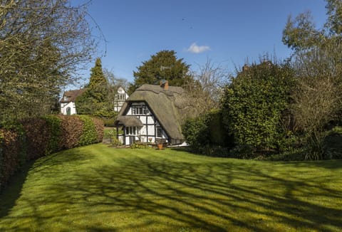 The pretty, south-facing garden