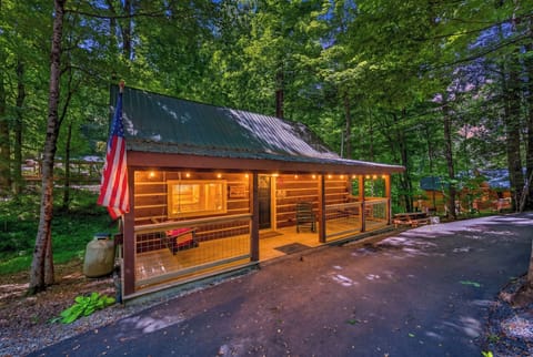 Cozy wooded cabin with a covered porch, warm lights, and private driveway