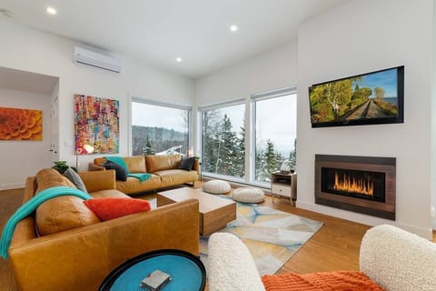 Living room with gas fireplace (1)