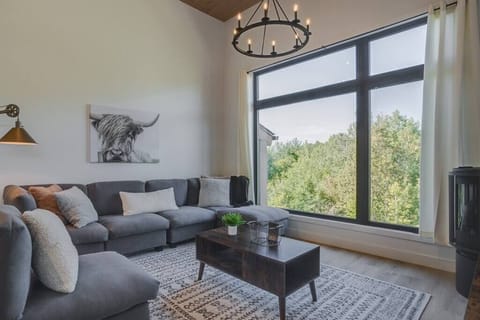 Living room with gas fireplace (1)