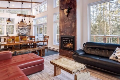 Living room with gas fireplace (1)