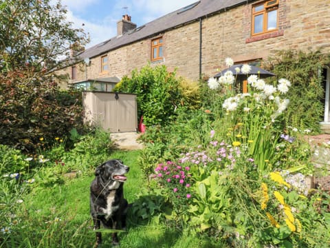 Cottage | Property grounds