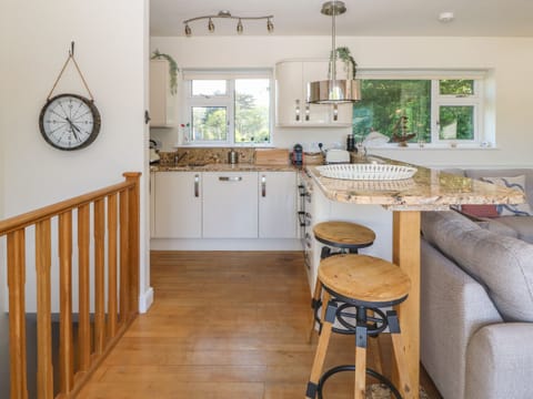 Fridge, dishwasher, electric kettle, toaster