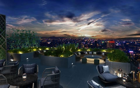 2 bars/lounges, rooftop bar