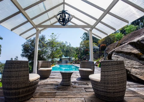 Outdoor pool, sun loungers