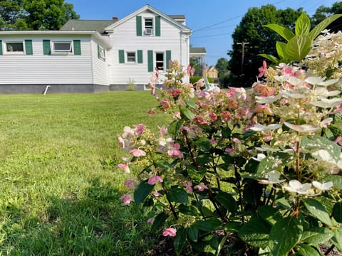 Hydrangeas in Bloom at the Beloved Home Run Haven