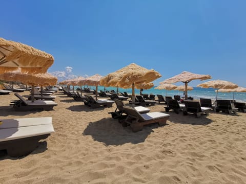 Beach nearby, beach bar