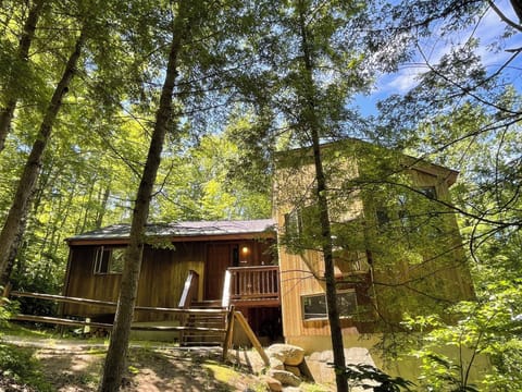 The Cabin Nestled in the Pines