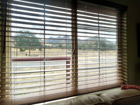 More view from the living room 