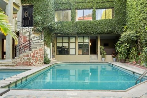 Outdoor pool, sun loungers