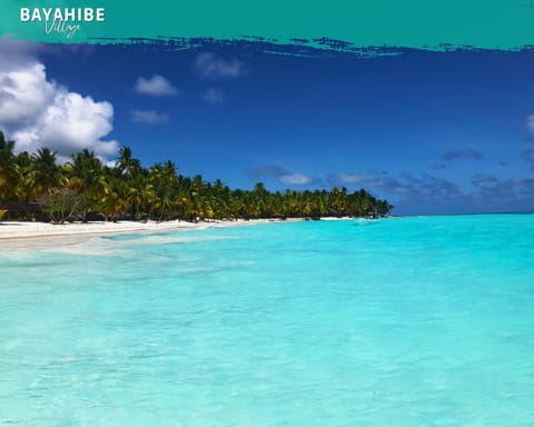 Beach nearby, white sand, sun loungers, beach bar