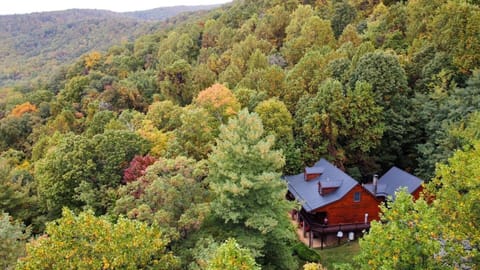 Welcome to Daniel's Mountain Lodge! Come enjoy the beauty and privacy that this large and modern cabin has to offer! 
