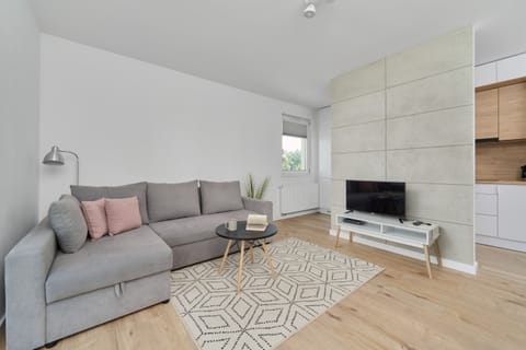 A bright living room featuring a gray sofa, a flat-screen TV, and a decorative rug for a comfortable atmosphere.