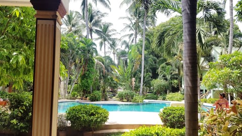 Outdoor pool, sun loungers