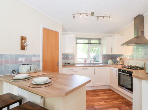 Fridge, dishwasher, electric kettle, toaster