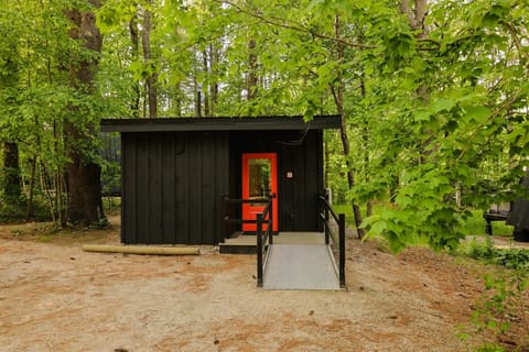 Accessible cabin entrance