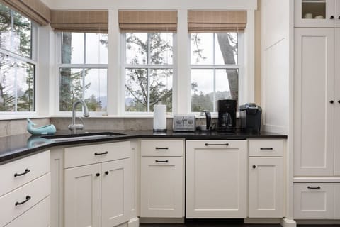 View of Nestucca River from kitchen