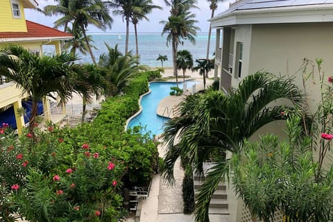 View from spacious patio
