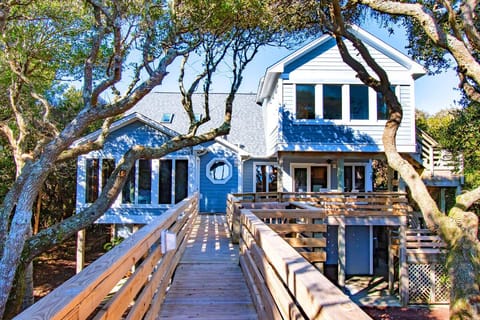 Welcome to Seacluded Tree House!