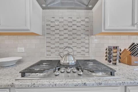 5-burner gas stove with high-capacity range hood