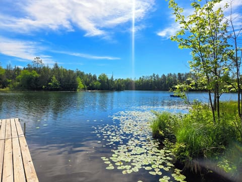 Sunny lake view from the dock. Private peninsula and swim raft.